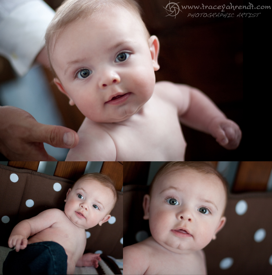 5 month old baby portraits