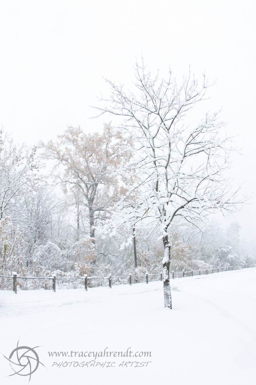 Tracey Ahrendt Photographic Artist Winter landscape 